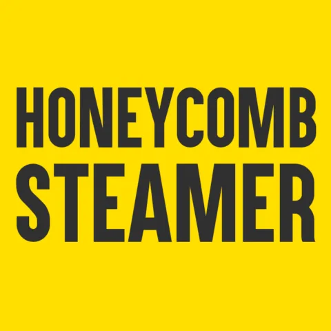 Honeycomb Steamer
